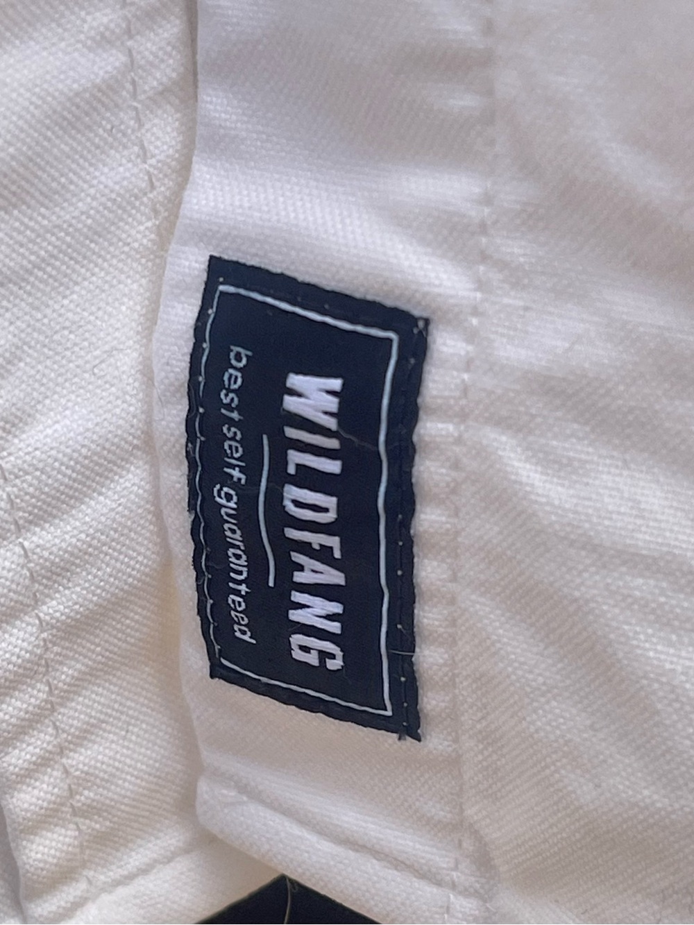 Wildfang x Peanuts Long Sleeve Oxford Button-Up Shirt, Creamy White, 1X - Picture 11 of 11